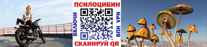 shop телеграм  Евпатория  Галлюциногенные грибы Cubensis 