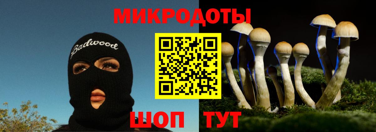 Галлюциногенные грибы ЛСД  Вход с VPN  Псилоцибиновые грибы Magic Shrooms  Евпатория 